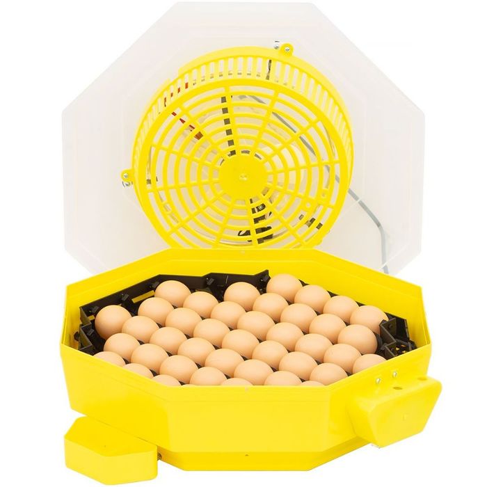 Inkubator do jaj iBator Home AUTO z silnikiem, automatyczny obrót jaj