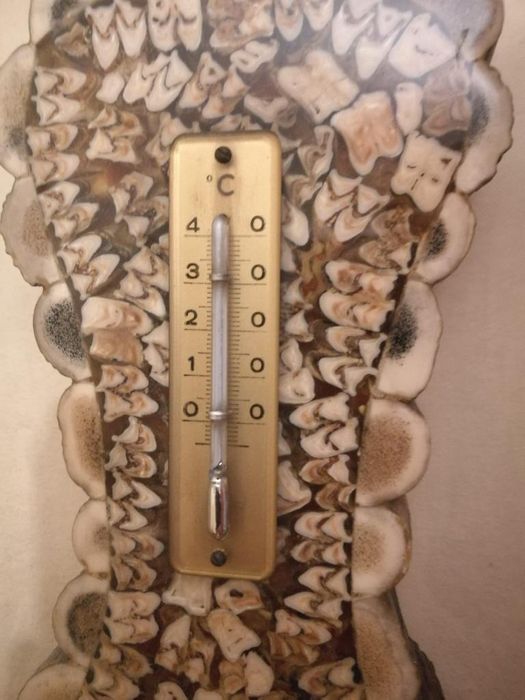 Meble z poroża (ława, stolik RTV, barek, barometr)