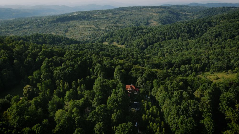 Садиба в лісі чан сауна