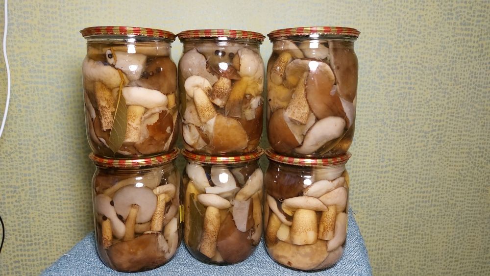 Гриби в асортименті мар. 2025 року