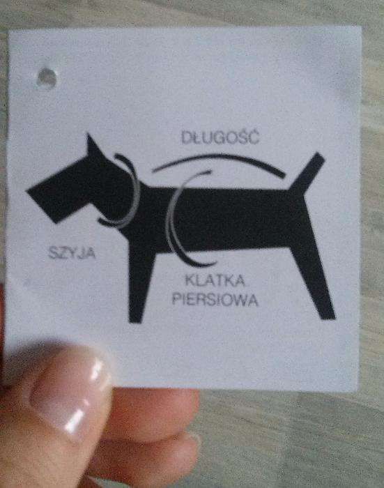 Ubranko Dla Psa Na Chłodne Dni !!