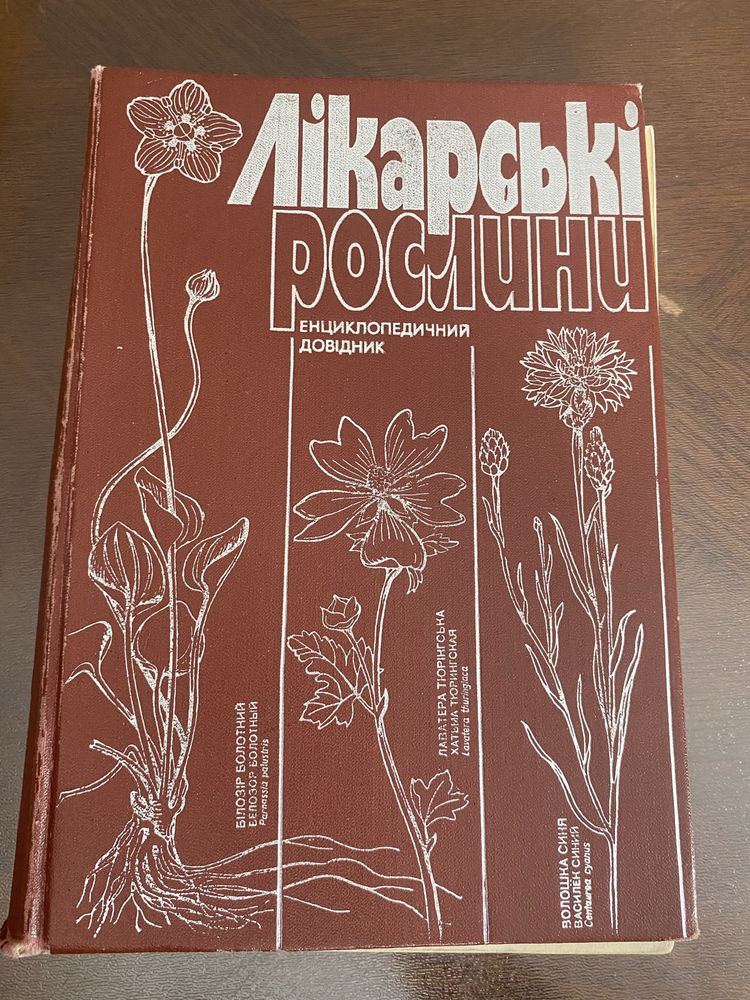 Лікарські рослини А.М. Гродзінський