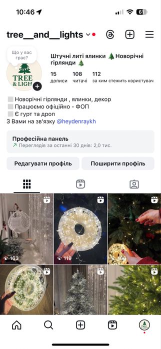 Новинка! Гірлянда штора мішура/ хвойна лапа 3*2, 3*3