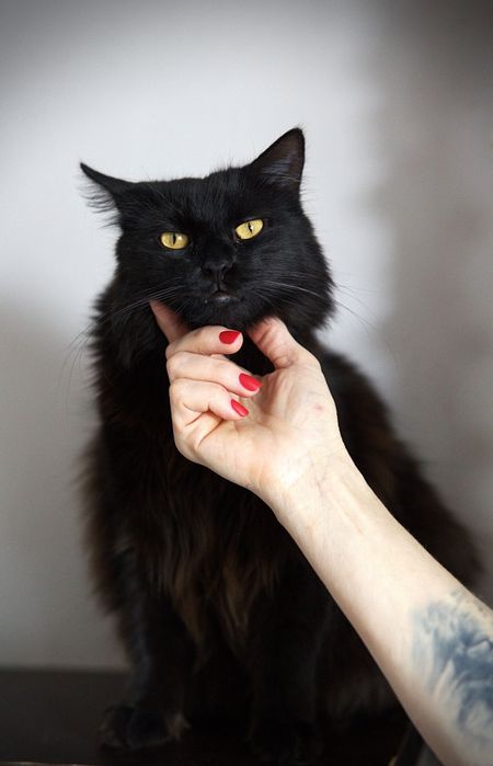 Potrzebujemy zacnych Ludzi, felv +