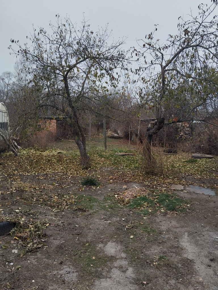 Продам дом  в самом центре Новая Водолага  дом с удобствами