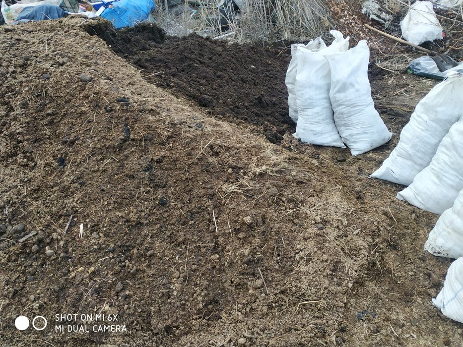 Продам перегной Коровяк конский  и Куриний 80 грн  на сади иогороди