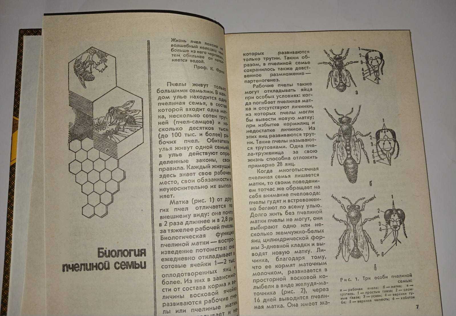 Продукты пчеловодства Иойриш Пчеловодство Бджільництво воск перга