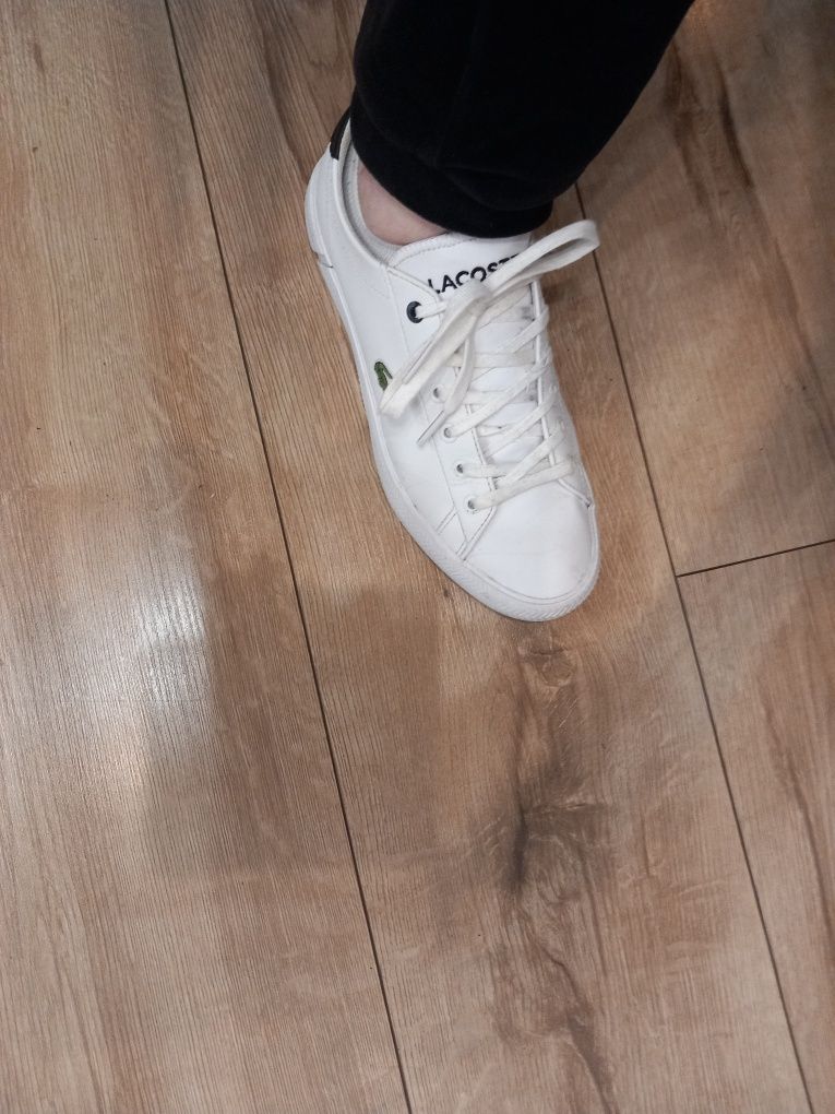 Trampki sportowe Lacoste