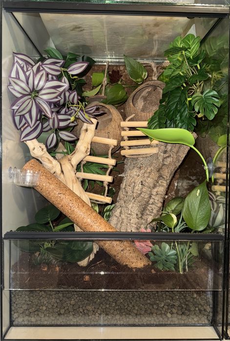 Terrarium 40x40x60