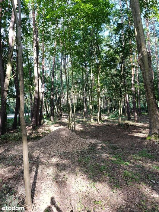 Działki budowlano - rekreacyjne