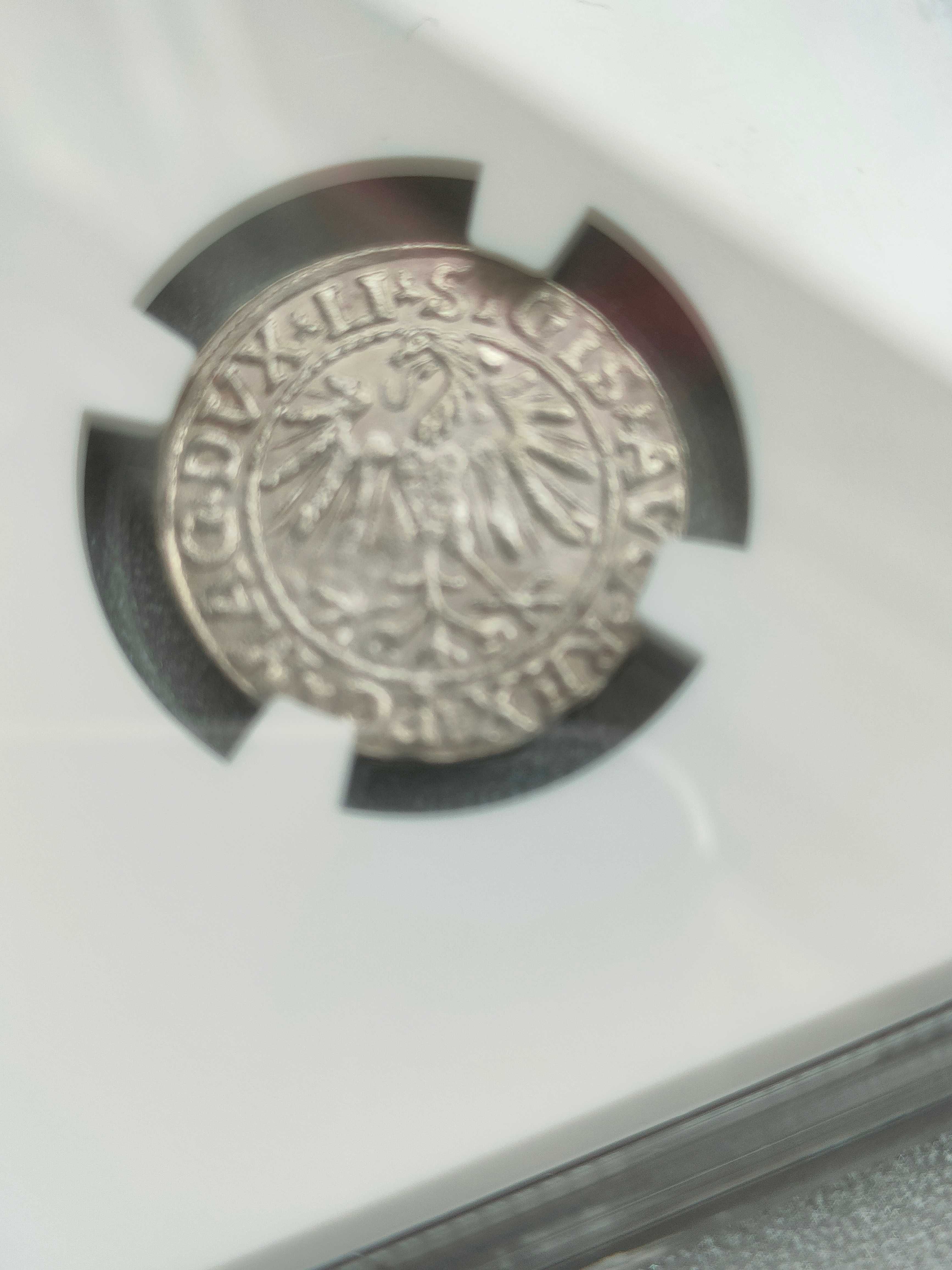 Półgrosz 1547 Wilno NGC MS 64