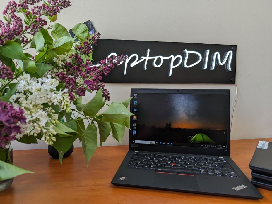 Ноутбук Lenovo ThinkPad T495/14/IPS/FULLHD/Ryzen5 Pro 3500/16/256