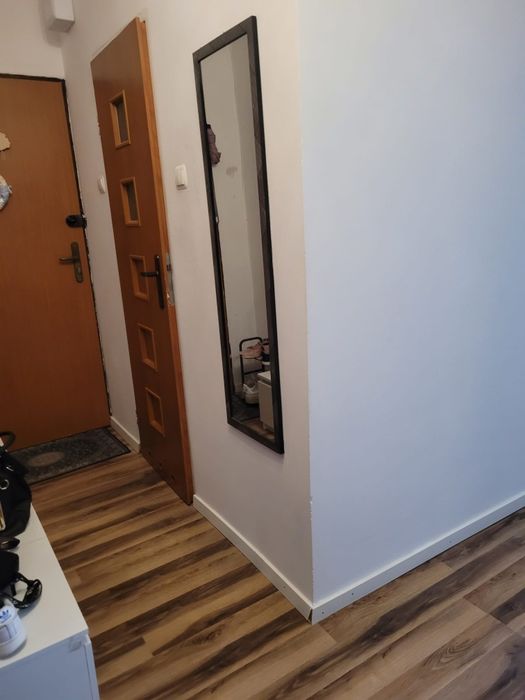 Mieszkanie 2 pokoje do wynajęcia wynajmę na wynajem Ziębice Ziębicach