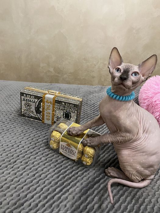 Канадские супердетки