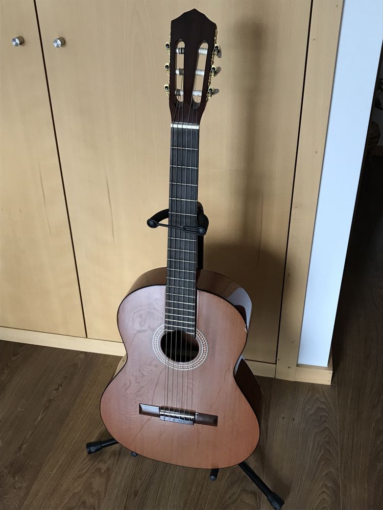 Guitarra Artimusica + suporte