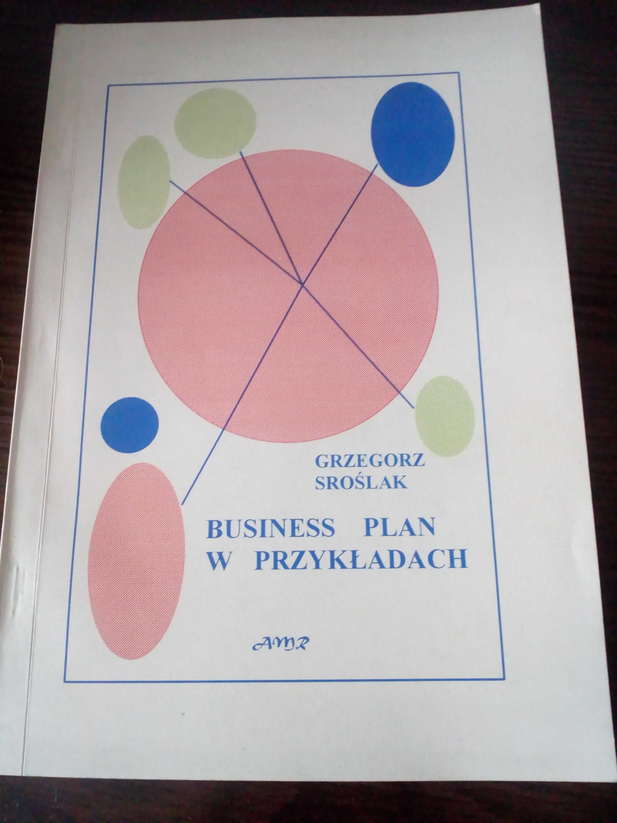 Business plan w przykładach