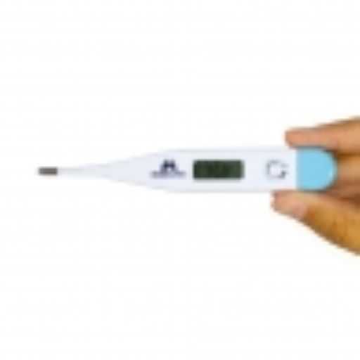 Termómetro Digital