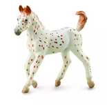 Koń Knabstrupper Foal. Collecta