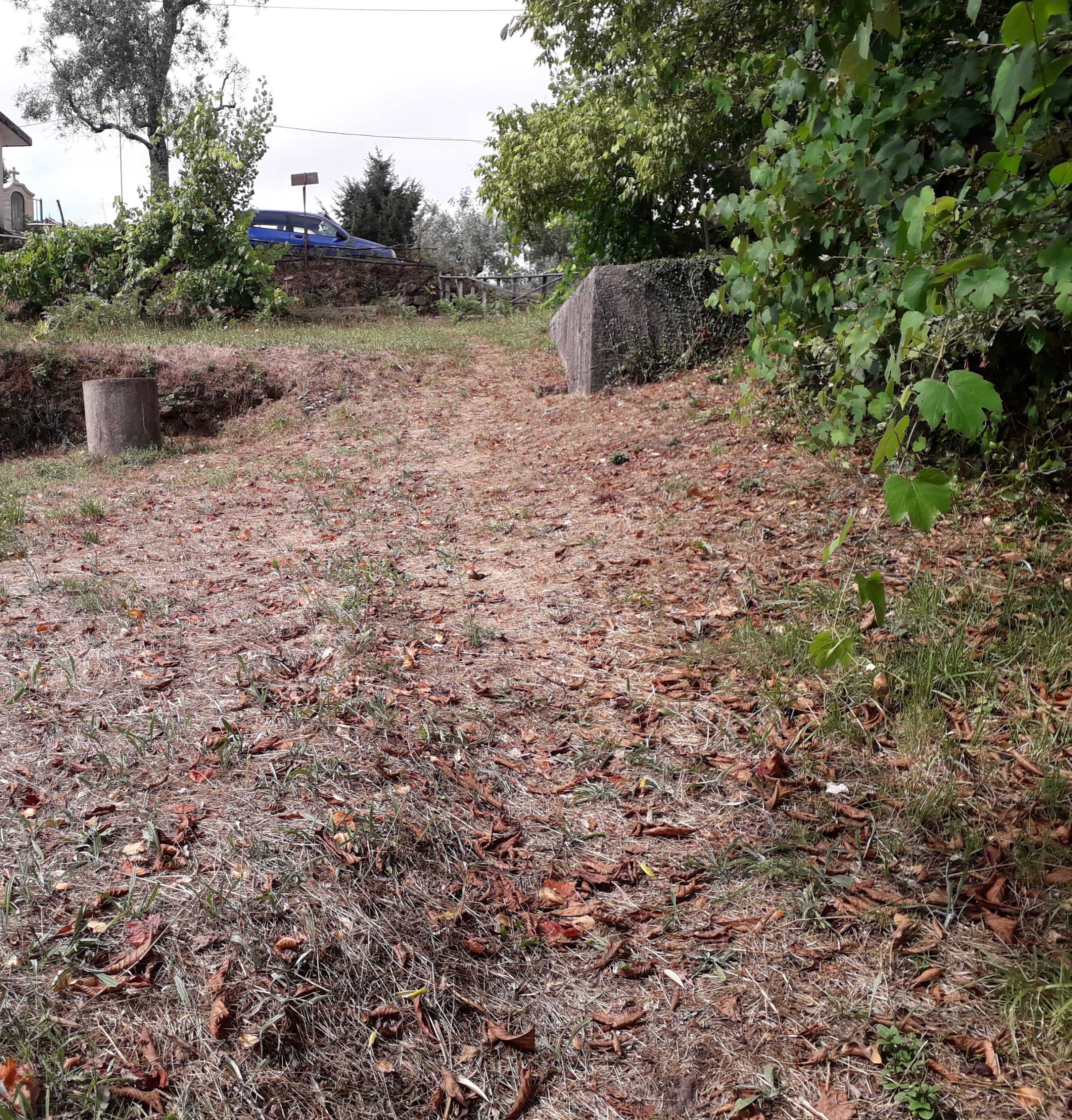 Terreno em Cinfães, entre o rio Paiva e o rio Douro.