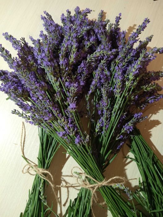 Букети з лаванди