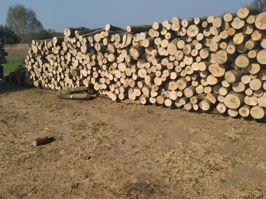 Drewno kominkowe Opałowe Wrocław Rożne Rodzaje ! Okolice !