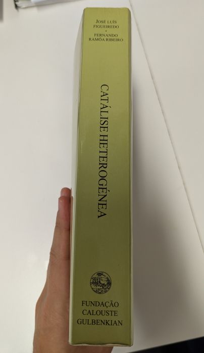 Livro Catálise Heterogénea