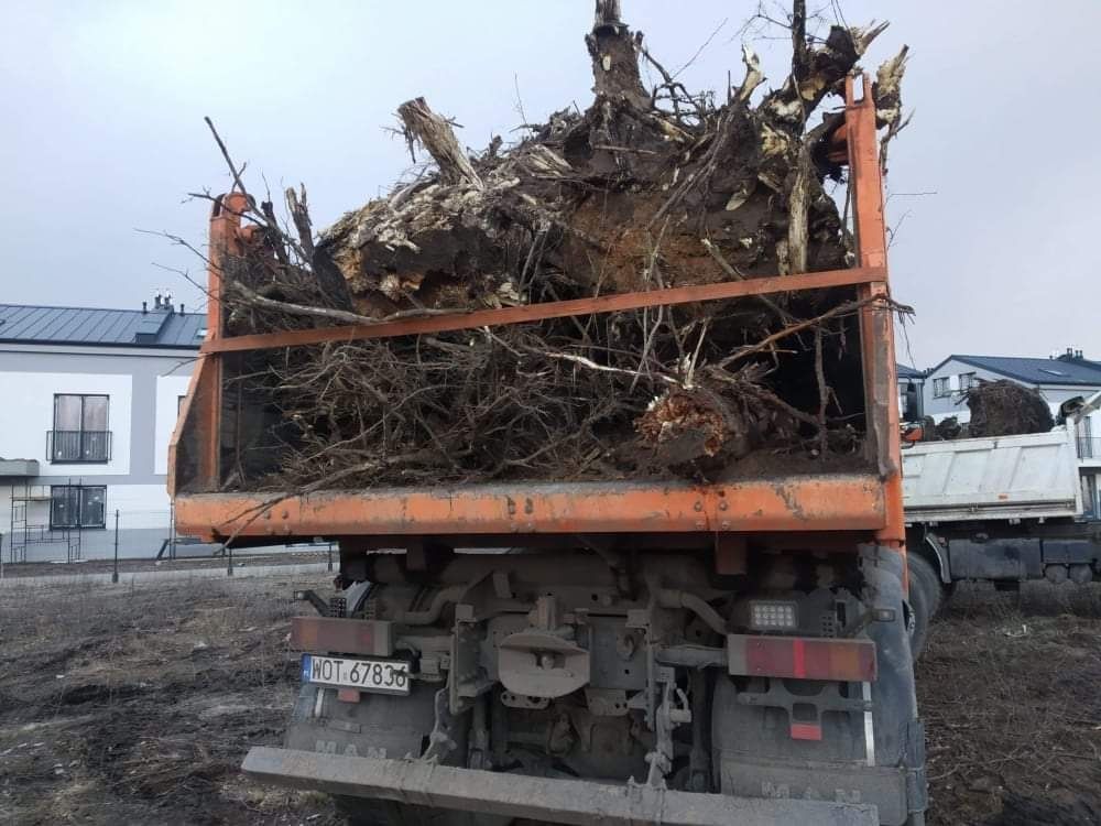 Oczyszczanie działek wycinka mulczer karczowanie rębak zrębkowanie