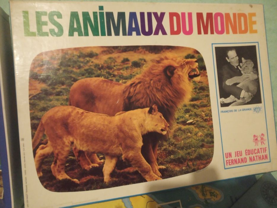 Jogo " OS ANIMAIS DO MUNDO "