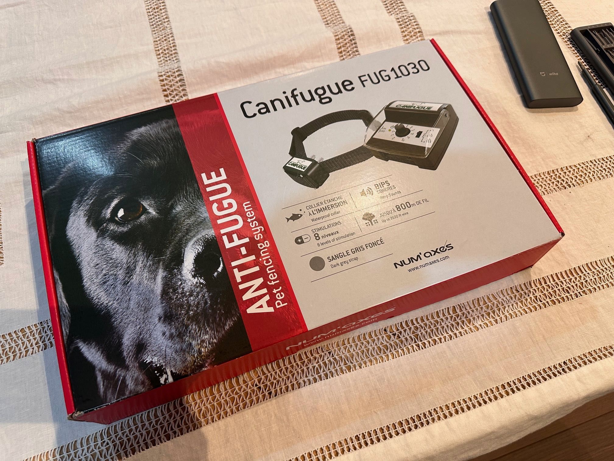 Cerca invisível para cão