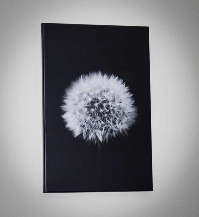 Telas fotográficas de natureza para decoração (várias dimensões)