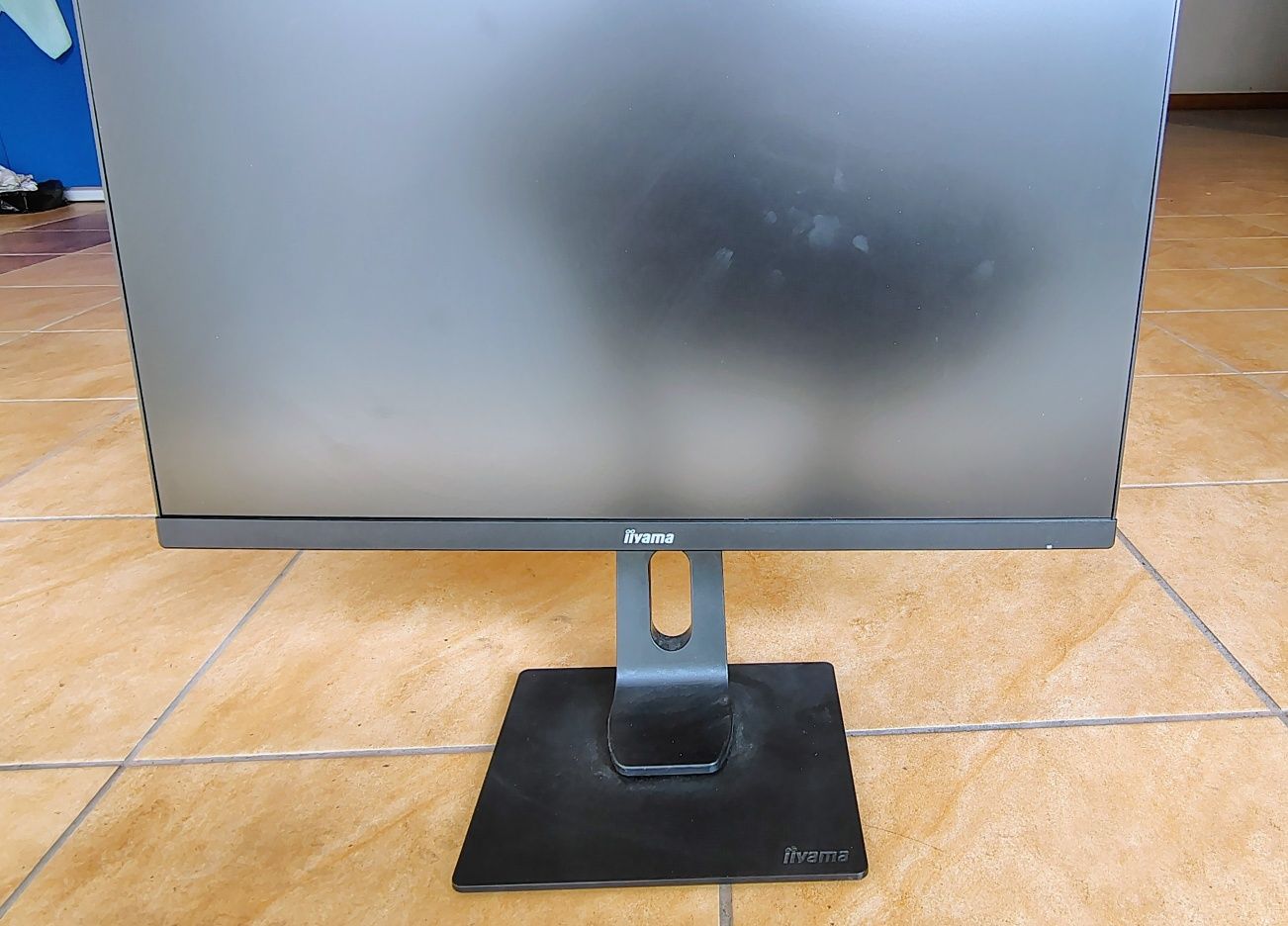 Monitor IIYAMA ProLite XUB2439HS