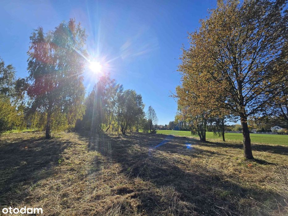 Oaza spokoju w leśnej okolicy blisko miasta