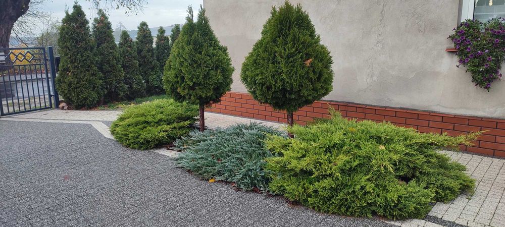 Pokrowiec zimowy, osłona roślin, agrowłóknina