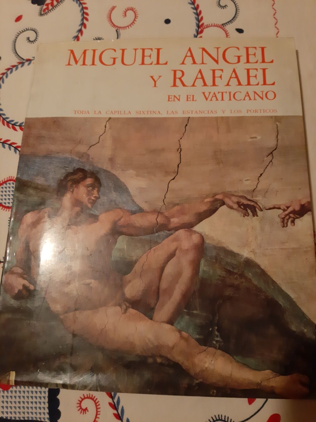 Livro Miguel Angelo