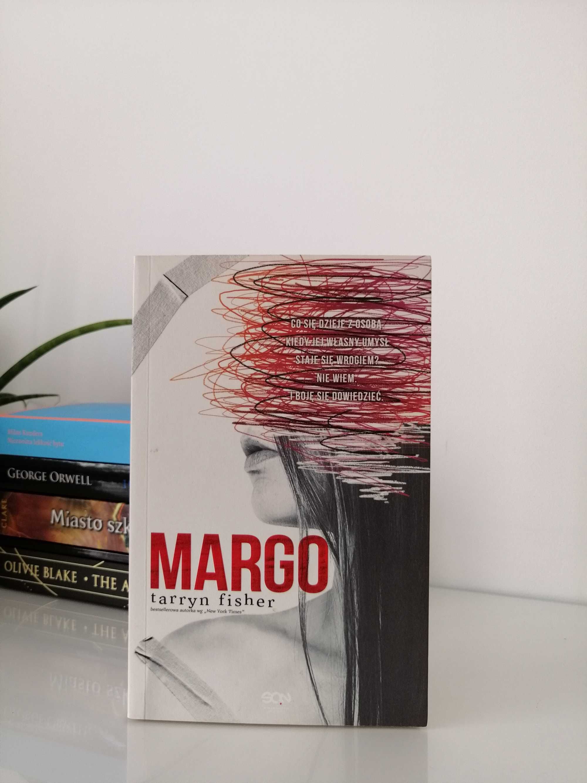 Książka młodzieżowa Margo