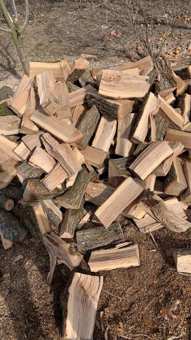 Дрова рубані від-1700,тверді  породи
