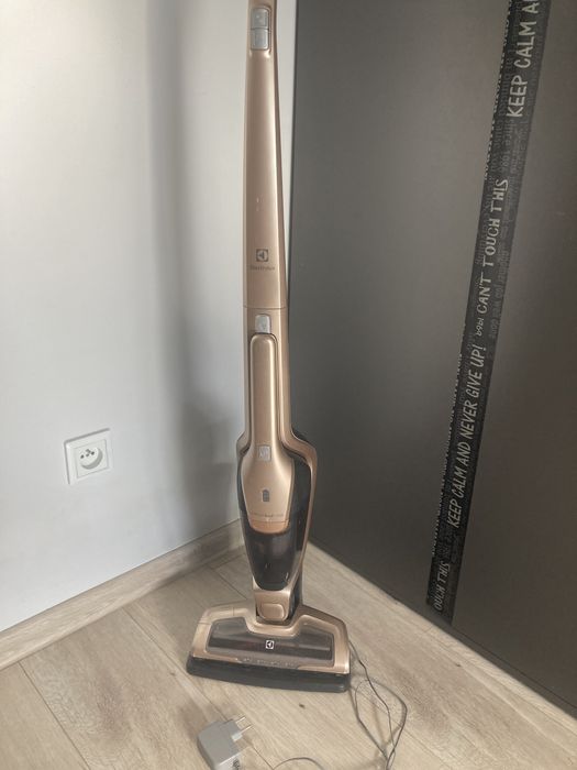 Electrolux ergorapido