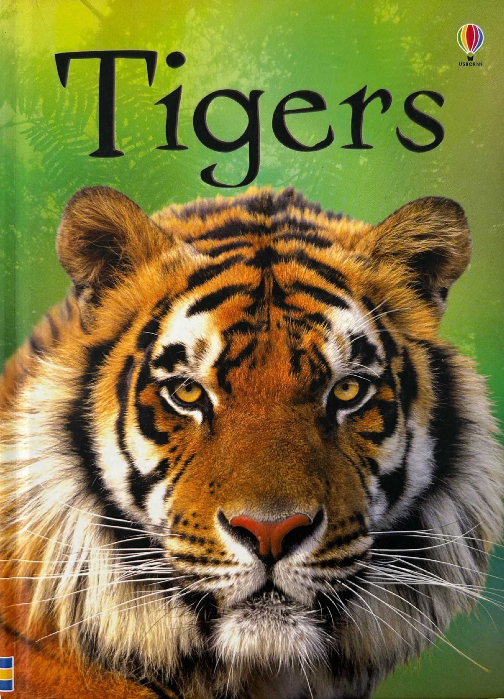 Usborne Beginners TIGERS książka po angielsku dla dzieci
