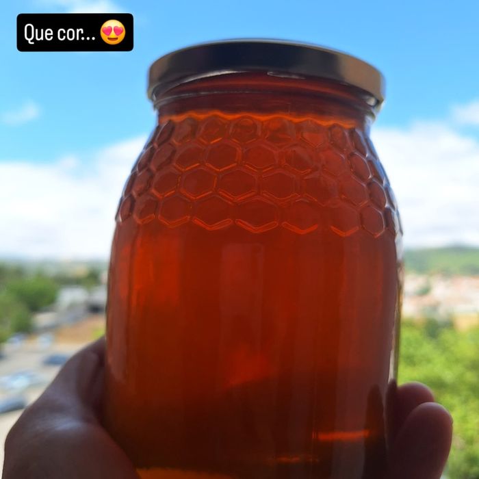 Vendo mel puro em frasco de 1kg