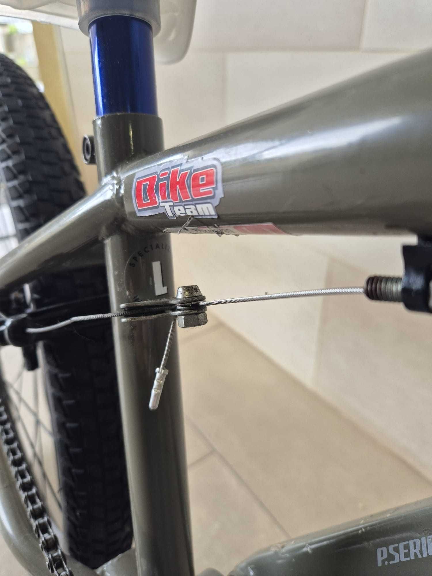 Bicicleta Specialized P-Series BMX/Dirt Jump – Pronta a rolar!
