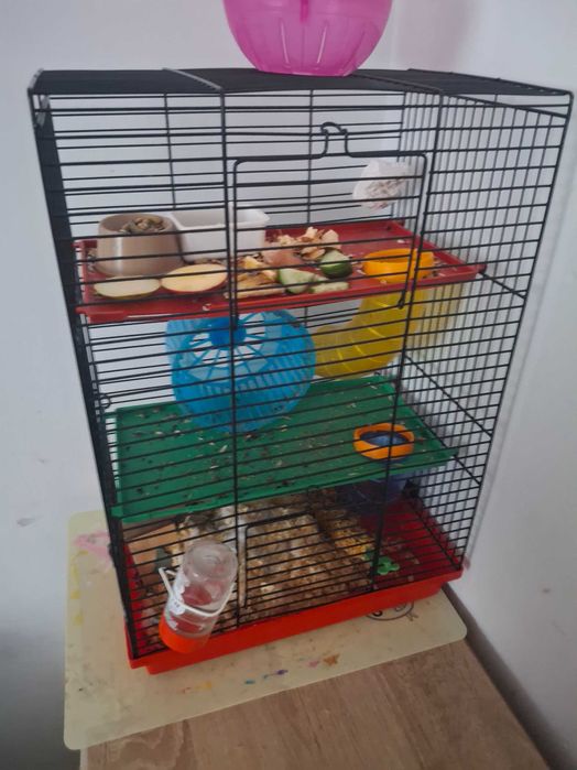 Sprzedam chomika i klatkę