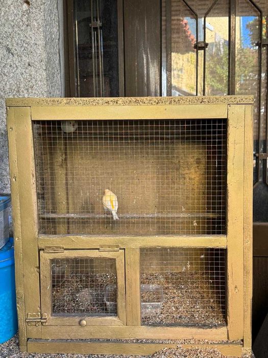 gaiolas e viveiros para aves