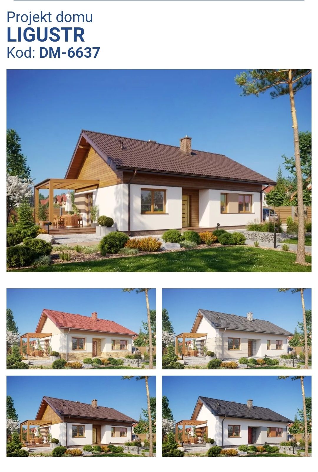 Projekt domu parterowego LIGUSTR DM-6637