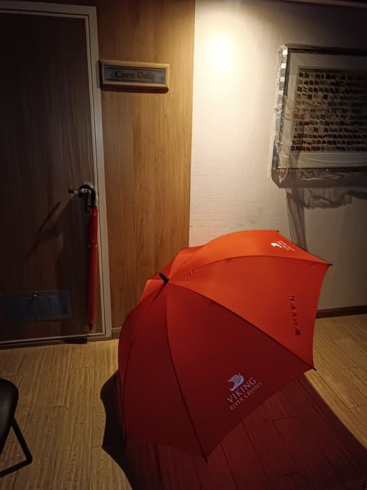 Парасолька тростина