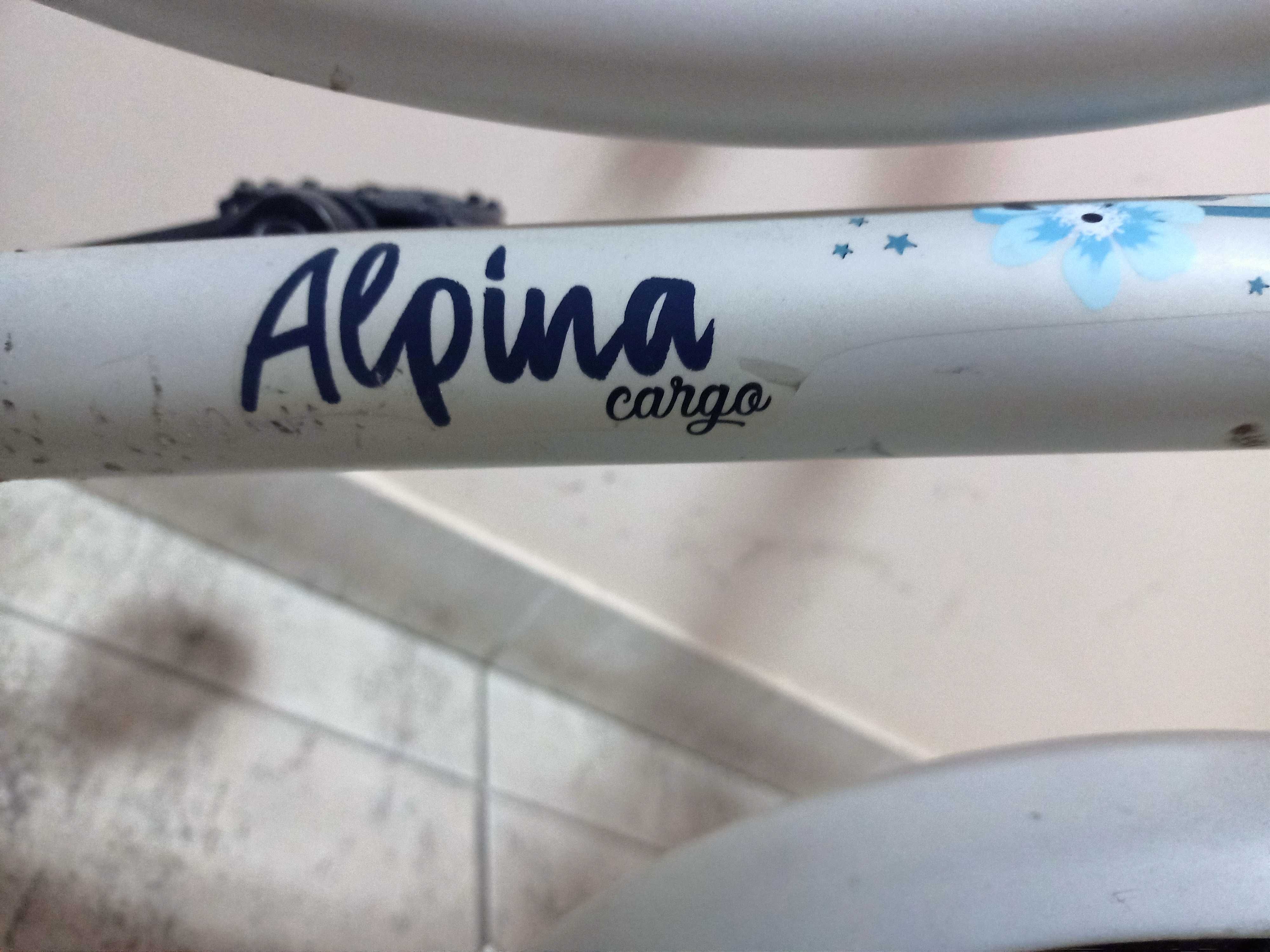 Rower Alpina Cargo