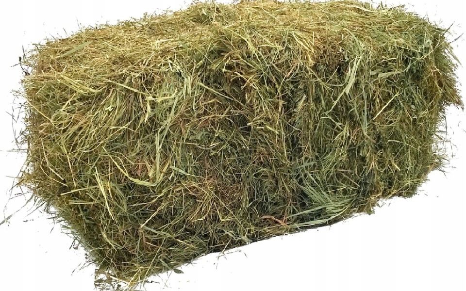 Siano w kostkach  7 zł/szt