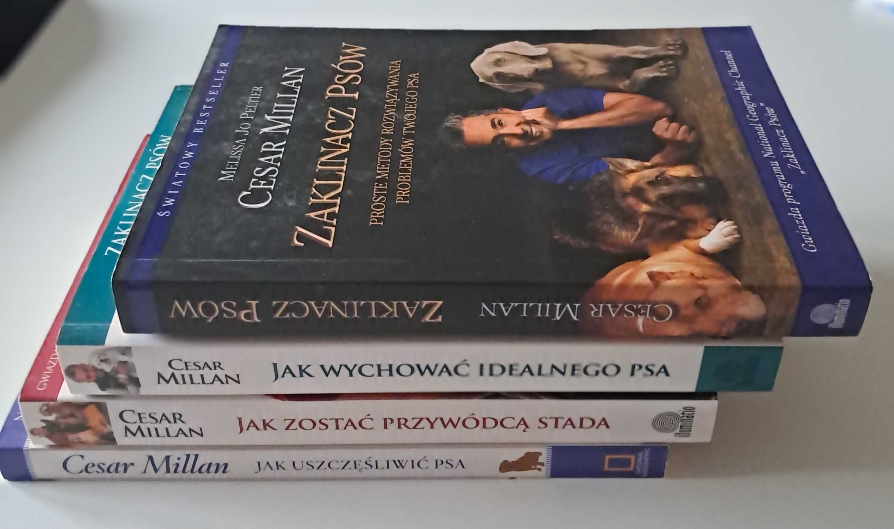 Zaklinacz psów Cesar Millan x 4