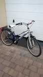 Rower miejski  Pegasus - Alu 26"