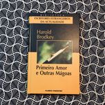 Primeiro Amor e Outras Mágoas - Harold Brodkey