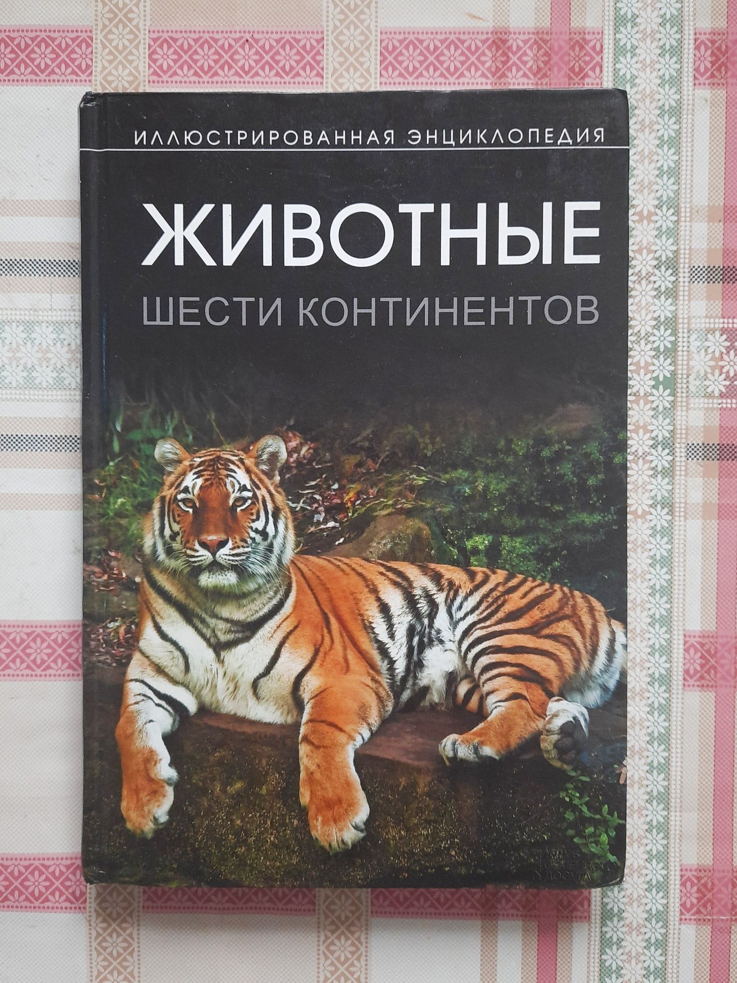 Набор из 5 познавательных книг